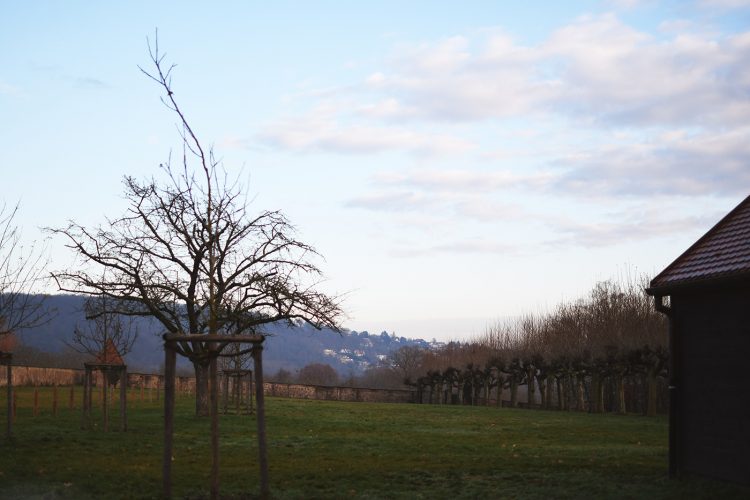 Domaine Château Leonardsau Obernai (9)