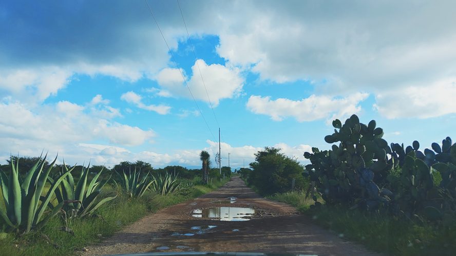 Mexique (28)