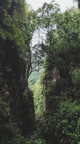 Mexique (41)