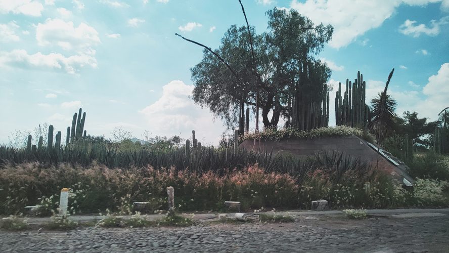 Mexique (65)
