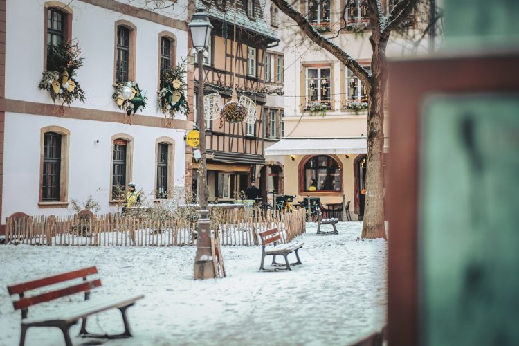 Neige, froid, parc