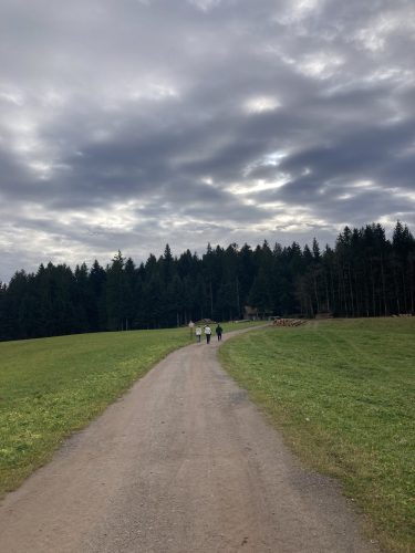 chemin randonnée