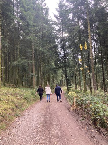 randonnée forêt