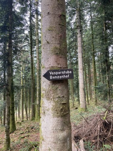 balise arbre