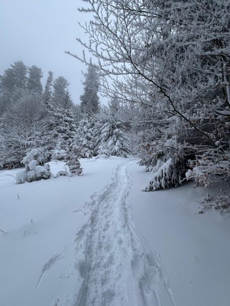 Hohwald sous la neige 1