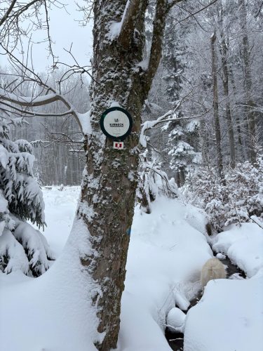 Hohwald sous la neige 2