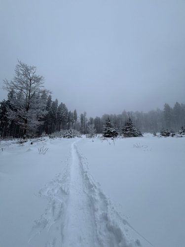 Hohwald sous la neige 4