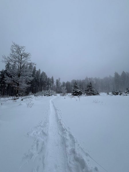 Hohwald sous la neige 4