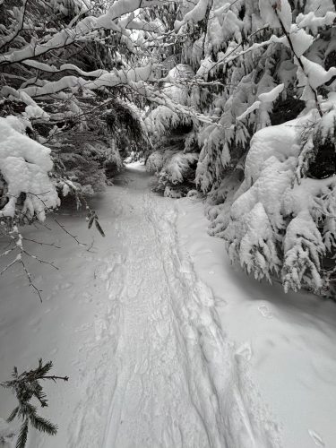 Hohwald sous la neige 6