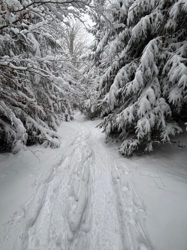Hohwald sous la neige 7