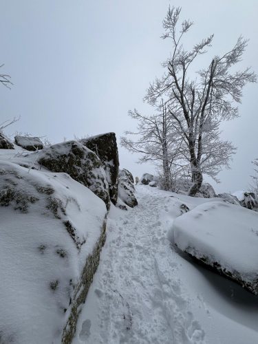 Hohwald sous la neige Neuntelstein 2
