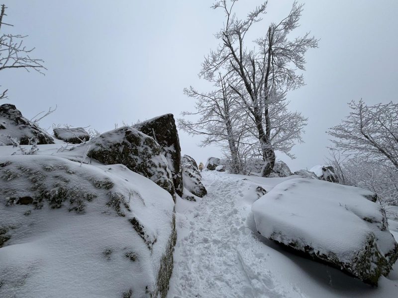 Hohwald sous la neige Neuntelstein 3