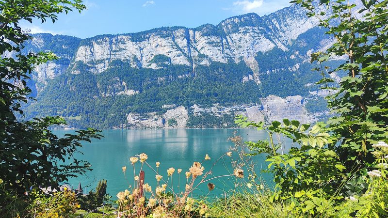 Alpes Suisse (8)
