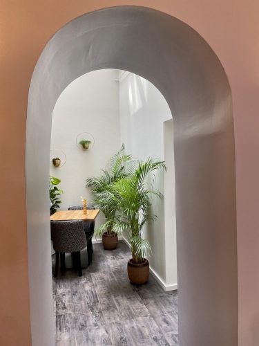 OrchidéaIMG_3708