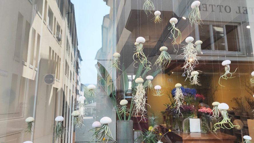 Zürich Suisse (15)