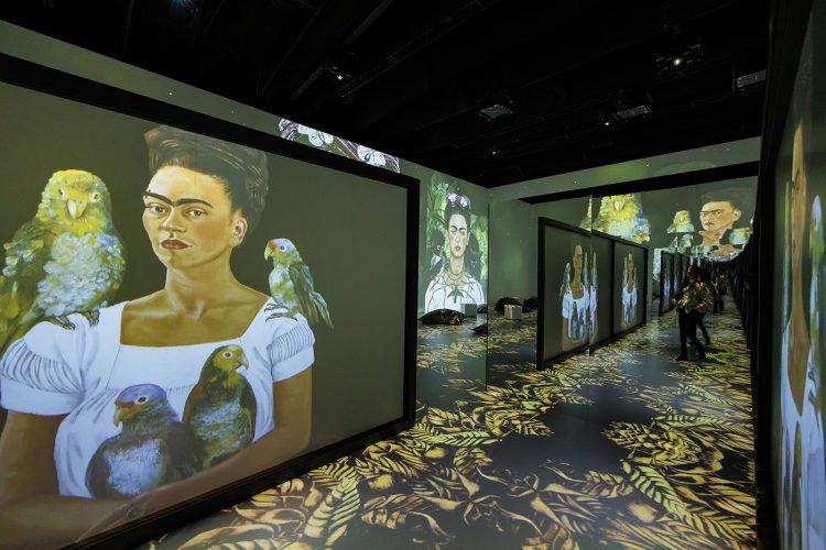 Viva Frida Kahlo Stuttgart © Morris Mac Matzen (1)