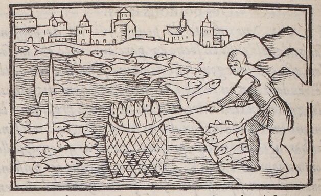Olaus Magnus, Histoire des pays septentrionaus. 1561