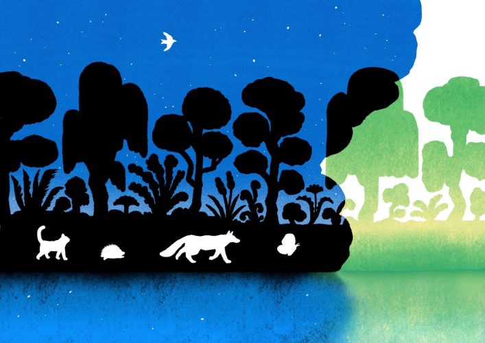 Rencontres de l&rsquo;illustration