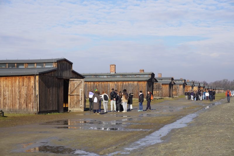Auschwitz Birkenau