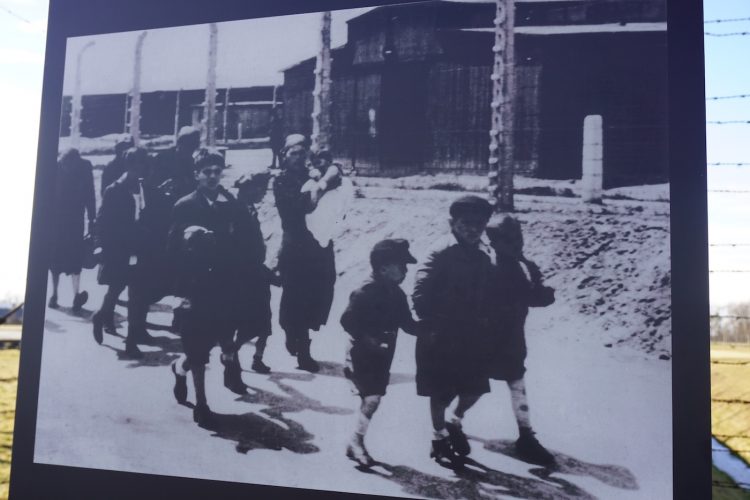 Auschwitz Birkenau
