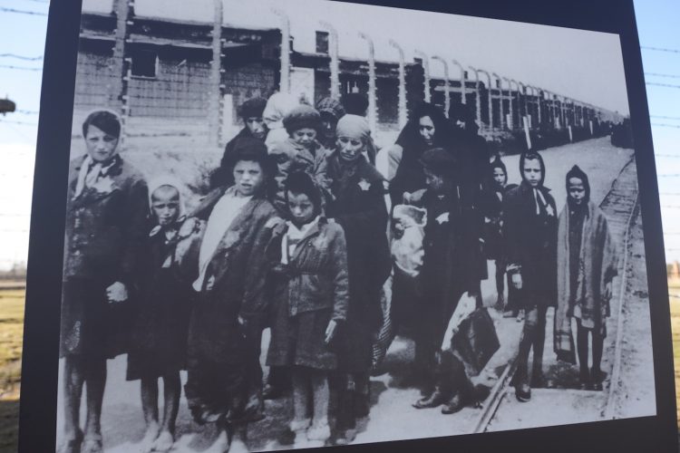 Auschwitz Birkenau