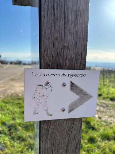 Parcours du vigneron vignes (3)