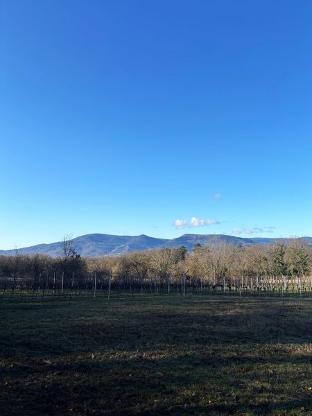 Parcours du vigneron vignes vosges (1)