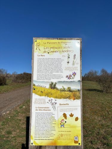 Parcours du vigneron vignes vosges (10)