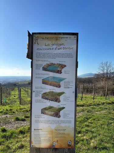 Parcours du vigneron vignes vosges (12)
