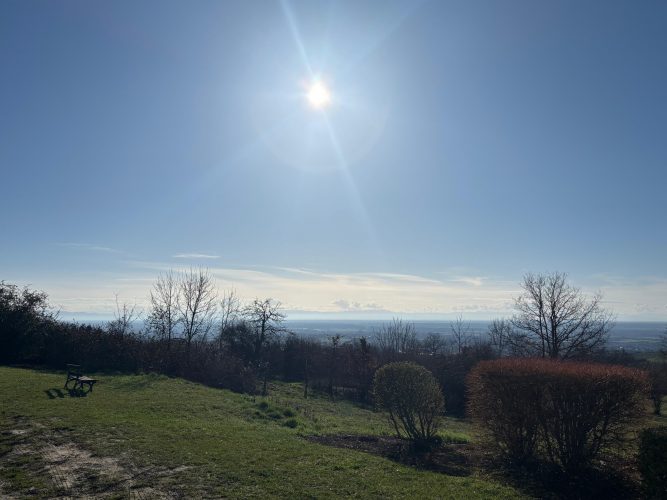 Parcours du vigneron vignes vosges (5)