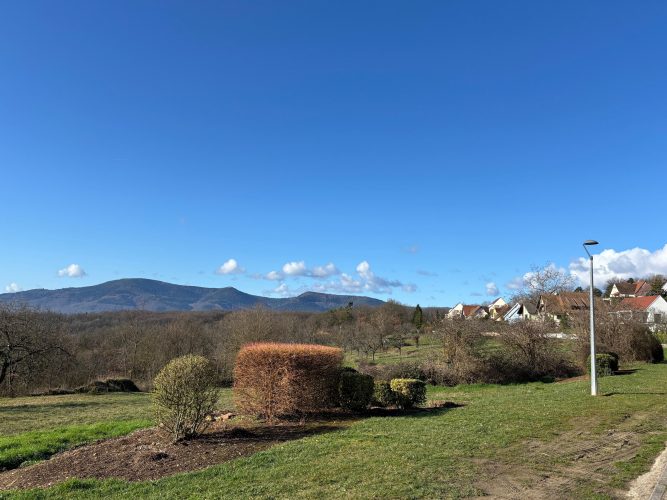 Parcours du vigneron vignes vosges (6)