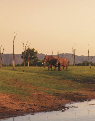 Croisieurope lac kariba afrique