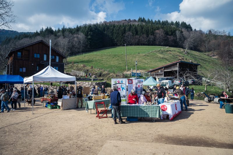 Paysannes Agricultrices Ferme Agriculture Féminisme 8 mars