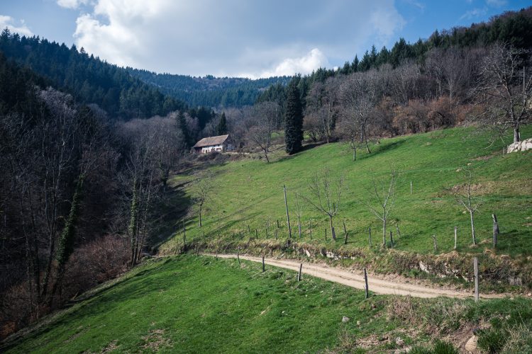 Paysannes Agricultrices Ferme Agriculture Féminisme 8 mars
