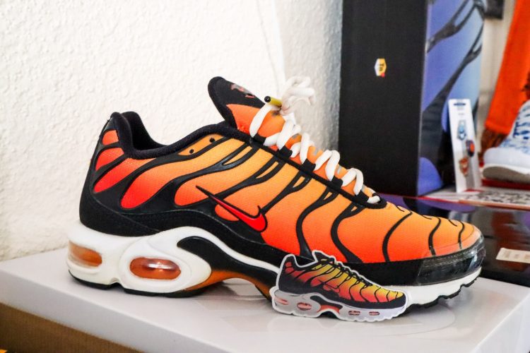 chaussures baskets Nike