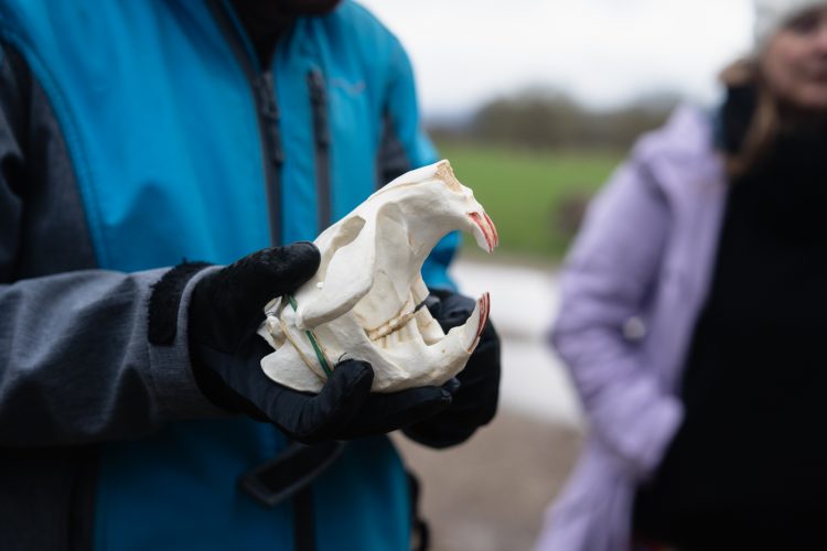 gepma castor balade découverte