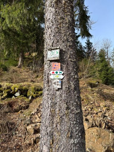randonnée vallée de chajoux la Bresse (2)