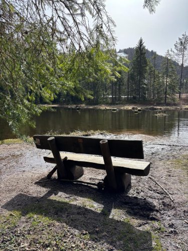 randonnée vallée de chajoux la Bresse (20)