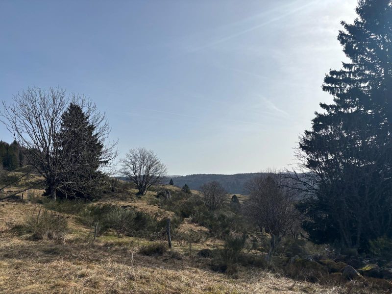 randonnée vallée de chajoux la Bresse (4)
