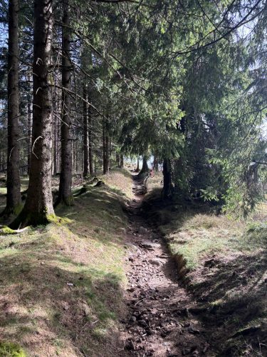 randonnée vallée de chajoux la Bresse (5)