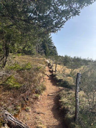 randonnée vallée de chajoux la Bresse (6)
