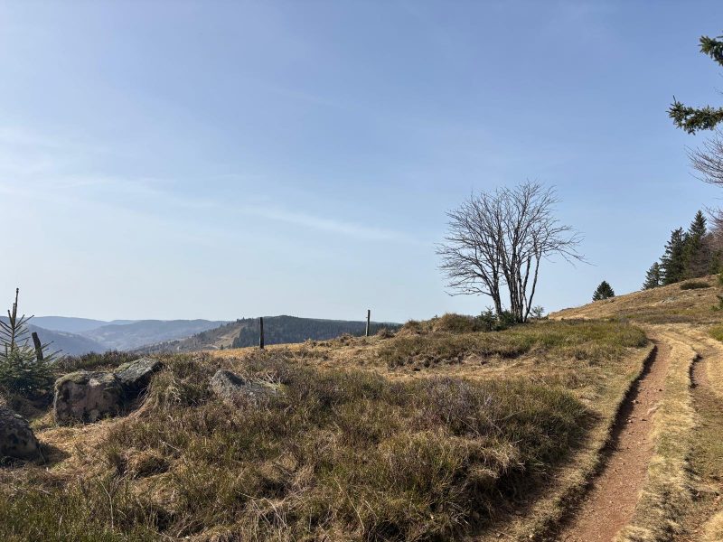 randonnée vallée de chajoux la Bresse chaumes (10)