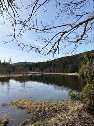 randonnée vallée de chajoux la Bresse lac de lispach (21)