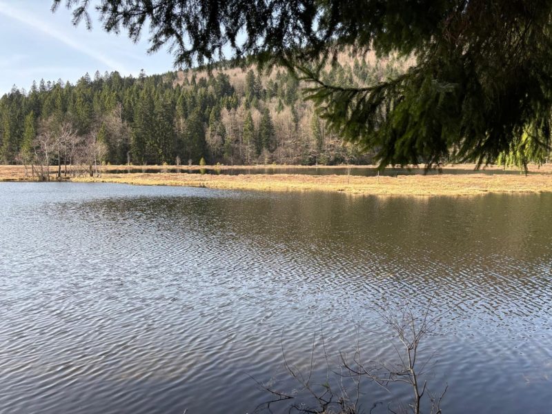 randonnée vallée de chajoux la Bresse lac de lispach (22)