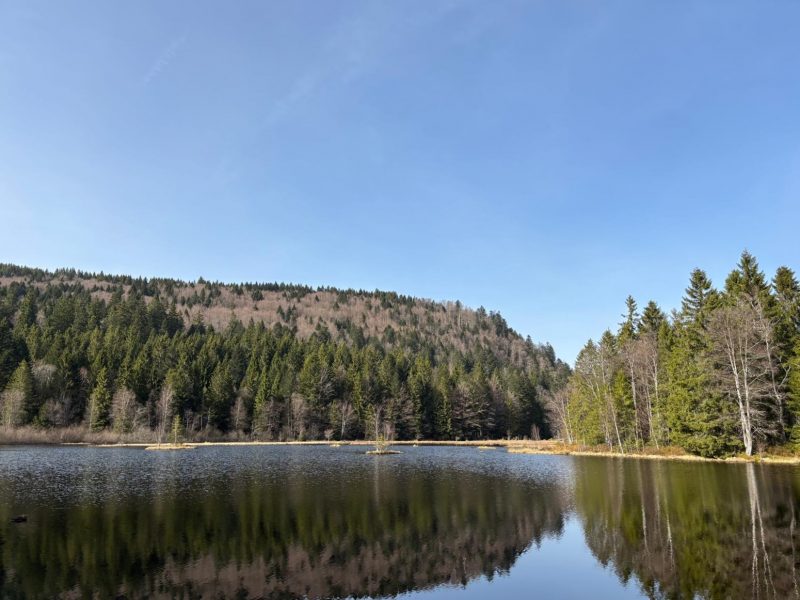 randonnée vallée de chajoux la Bresse lac de lispach (24)
