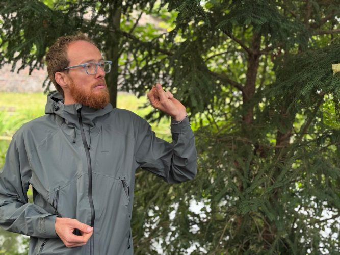 cueillette plantes sauvages les ateliers du vivant (10)