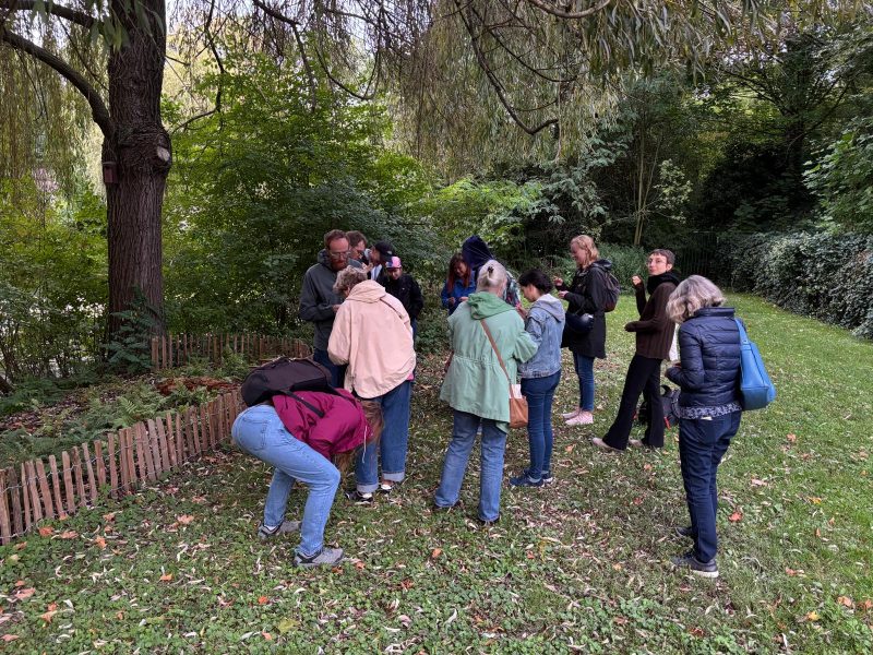 cueillette plantes sauvages les ateliers du vivant (18)