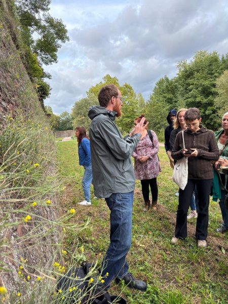 cueillette plantes sauvages les ateliers du vivant (5)