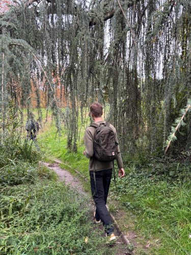 cueillette plantes sauvages les ateliers du vivant (8)
