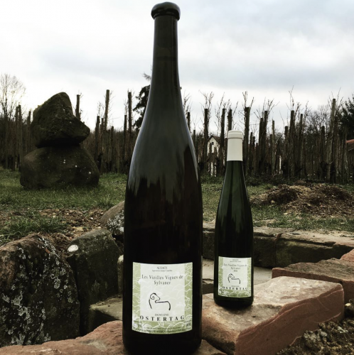 Domaine ostertag vin
